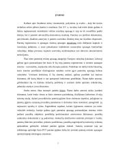 Patentų registravimo ir apsaugos sistemos ir jų tarpusavio santykis 3 puslapis