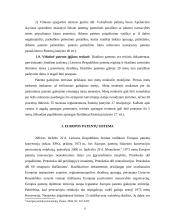 Patentų registravimo ir apsaugos sistemos ir jų tarpusavio santykis 9 puslapis