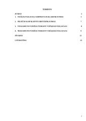 Piliečiai kaip klientai: teigiami ir neigiami aspektai teikiant viešąsias paslaugas 2 puslapis