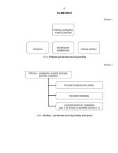 Pirkimo-pardavimo sutartis kaip komercinės veiklos sutartis 20 puslapis
