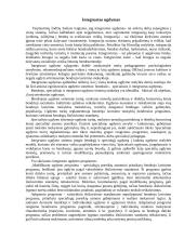 Specialiųjų ugdymo poreikių (SUP) tenkinimas B. Andruškos pradinėje mokykloje 6 puslapis