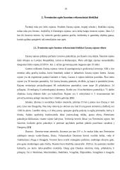 Šventosios upės rekreacinis potencialas 12 puslapis