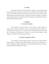 Verslo planas: UAB "Molinukas" 12 puslapis