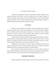 Verslo planas: UAB "Molinukas" 13 puslapis