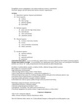 Kūno kultūra ir jos samprata 3 puslapis