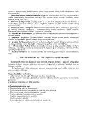 Mokymo(-si) priemonės ir metodai 3 puslapis