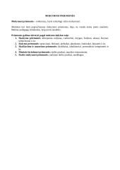 Mokymo(-si) priemonės ir metodai 4 puslapis