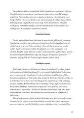 Elgesio kultūra ir dorovė 17 puslapis