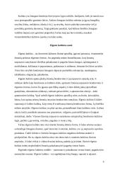 Elgesio kultūra ir dorovė 6 puslapis