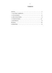 Valdymo procesas organizacijose 2 puslapis