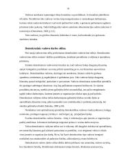 Valdymo procesas organizacijose 16 puslapis