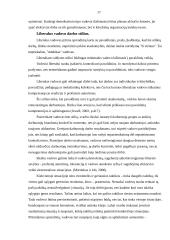 Valdymo procesas organizacijose 17 puslapis