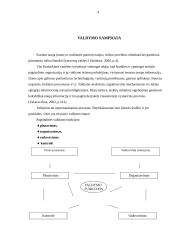 Valdymo procesas organizacijose 4 puslapis