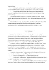 Valdymo procesas organizacijose 6 puslapis