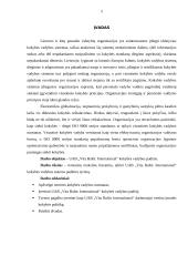 Kokybės vadybos padėtis: UAB "Vita Baltic International" 3 puslapis