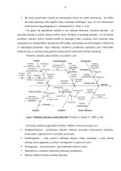 Kokybės vadybos padėtis: UAB "Vita Baltic International" 8 puslapis