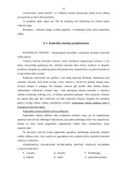 Kontrolės sistema modernioje organizacijoje. Lietuvoje ir pasaulyje egzistuojanti praktika 13 puslapis
