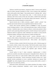 Kontrolės sistema modernioje organizacijoje. Lietuvoje ir pasaulyje egzistuojanti praktika 4 puslapis