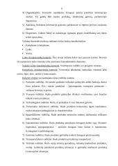 Kontrolės sistema modernioje organizacijoje. Lietuvoje ir pasaulyje egzistuojanti praktika 6 puslapis