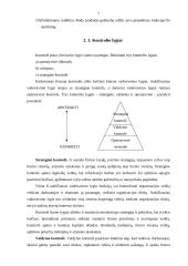 Kontrolės sistema modernioje organizacijoje. Lietuvoje ir pasaulyje egzistuojanti praktika 7 puslapis