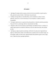 Norvegijos tarptautinio protokolo ypatumai 11 puslapis