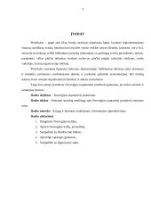 Norvegijos tarptautinio protokolo ypatumai 3 puslapis