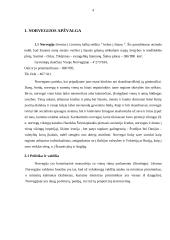 Norvegijos tarptautinio protokolo ypatumai 4 puslapis