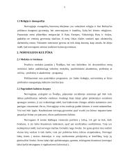 Norvegijos tarptautinio protokolo ypatumai 5 puslapis