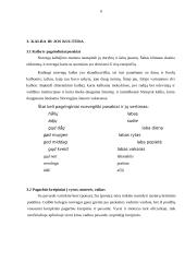 Norvegijos tarptautinio protokolo ypatumai 6 puslapis