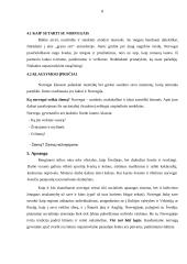 Norvegijos tarptautinio protokolo ypatumai 8 puslapis