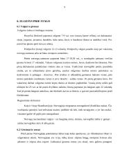 Norvegijos tarptautinio protokolo ypatumai 9 puslapis