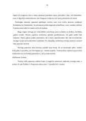 Norvegijos tarptautinio protokolo ypatumai 10 puslapis