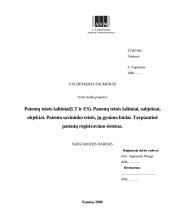 Patentų teisės šaltiniai Lietuvoje ir Europos Sąjungoje (ES). Patentų teisės šaltiniai, subjektai, objektai. Patento savininko t