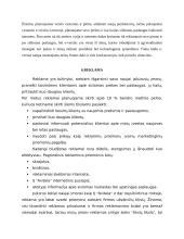 Verslo planas: kompiuterinių detalių parduotuvė IĮ "Avitela" 13 puslapis