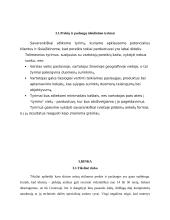 Verslo planas: kompiuterinių detalių parduotuvė IĮ "Avitela" 7 puslapis