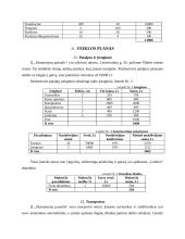 Verslo planas: saldainių parduotuvė IĮ "Skanumynų pasaulis" 11 puslapis