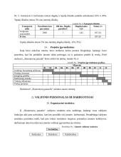 Verslo planas: saldainių parduotuvė IĮ "Skanumynų pasaulis" 12 puslapis