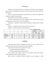 Verslo planas: saldainių parduotuvė IĮ "Skanumynų pasaulis" 13 puslapis