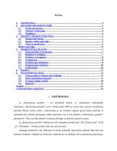 Verslo planas: saldainių parduotuvė IĮ "Skanumynų pasaulis" 3 puslapis