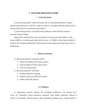 Verslo planas: saldainių parduotuvė IĮ "Skanumynų pasaulis" 5 puslapis