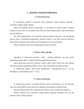 Verslo planas: saldainių parduotuvė IĮ "Skanumynų pasaulis" 7 puslapis