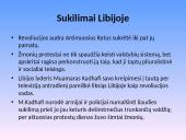 2011 metų politinių įvykių apžvalga 15 puslapis