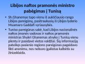 2011 metų politinių įvykių apžvalga 5 puslapis