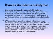 2011 metų politinių įvykių apžvalga 7 puslapis