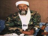 2011 metų politinių įvykių apžvalga 8 puslapis