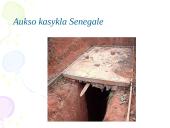 Aukso panaudojimas 13 puslapis