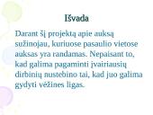 Aukso panaudojimas 16 puslapis