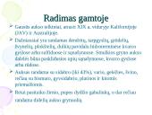 Aukso panaudojimas 4 puslapis