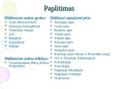 Aukso panaudojimas 5 puslapis