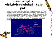 Dviratininkų eismo taisyklės 3 puslapis